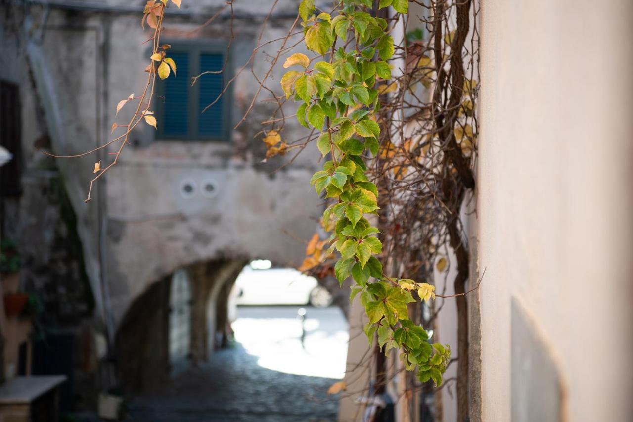 Hotel Borgo Vistalago Trevignano Romano Exterior foto